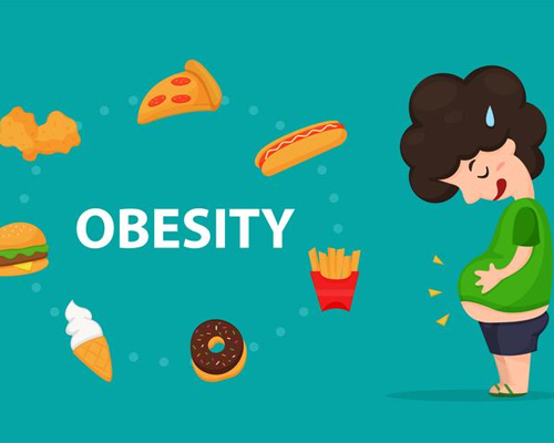 How to Overcome Obesity